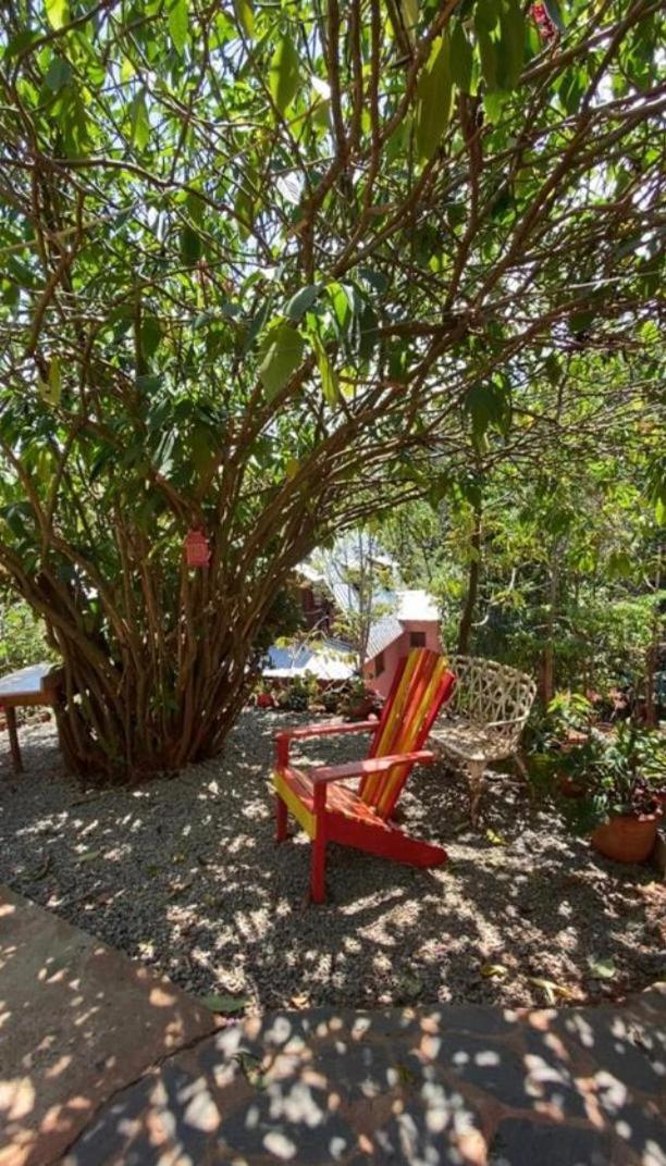 El Campo En Jarabacoaヴィラ エクステリア 写真