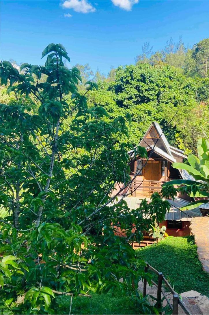 El Campo En Jarabacoaヴィラ エクステリア 写真