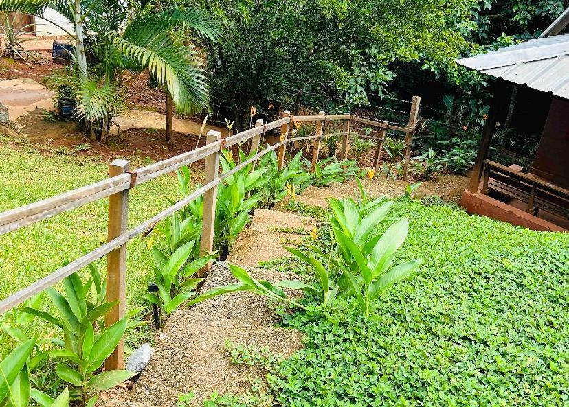 El Campo En Jarabacoaヴィラ エクステリア 写真